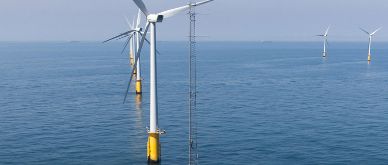 Insight Q4 2021 - Rebuilding after the pandemic